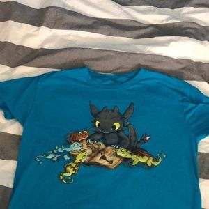 How to Train Your Dragon- Toothless Graphic Tee